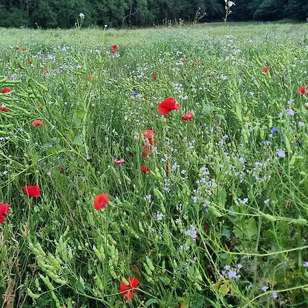 בית נופש 5 Star In Løgstrup